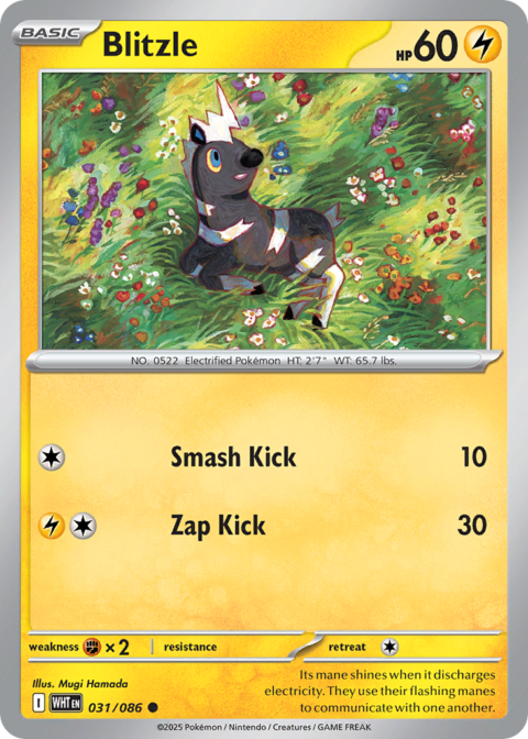 Blitzle - WHT #31 - Reverse Holo