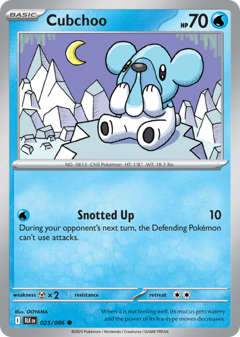 Cubchoo - BLK #25 - Holo