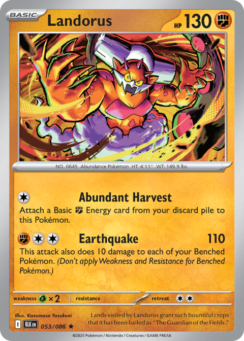 Landorus - BLK #53 - Holo