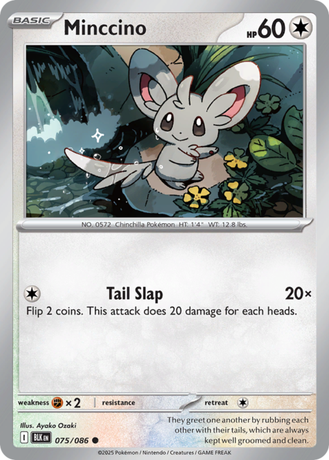 Minccino - BLK #75 - Reverse Holo
