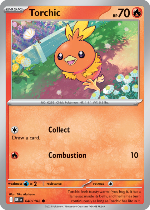 Torchic - DRI #40 - Normal