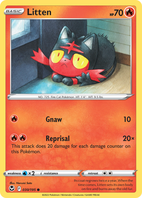 Litten - SIT #30 - Normal