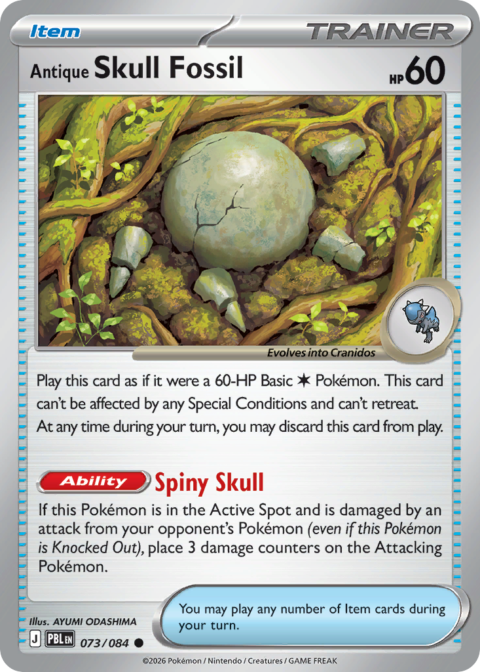 Antique Skull Fossil - PBL #73 - Reverse Holo