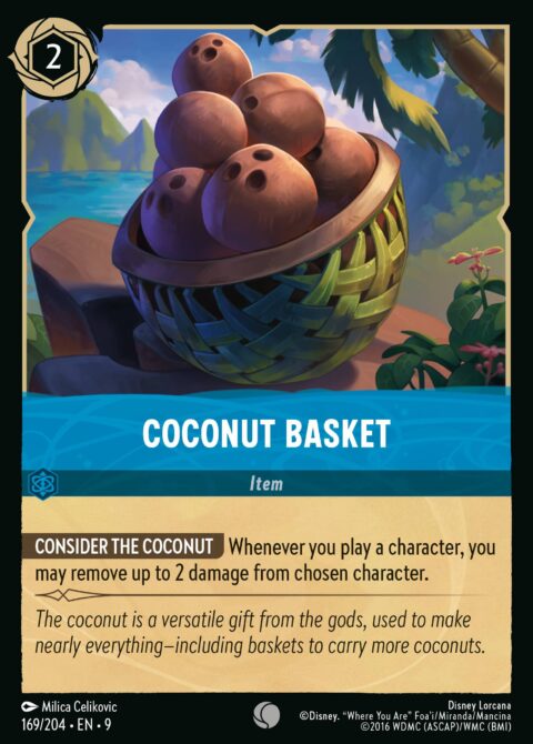 Coconut Basket - 9 #169 - Normal