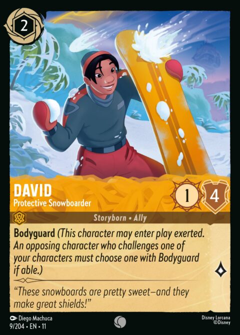 David - Protective Snowboarder - 11 #9 - Normal