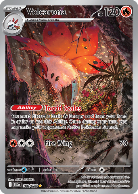 Volcarona - BLK #100 - Normal