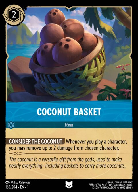 Coconut Basket - 1 #166 - Normal